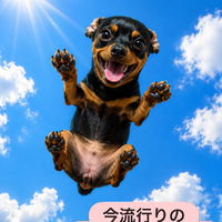 画像2058