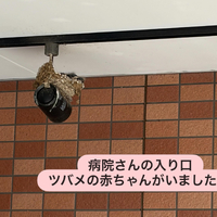 画像2072