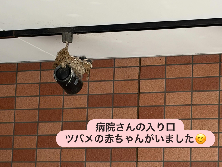 画像2072