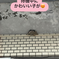 画像2140