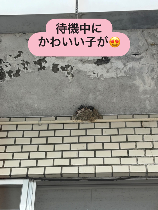 画像2140
