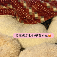 画像2142
