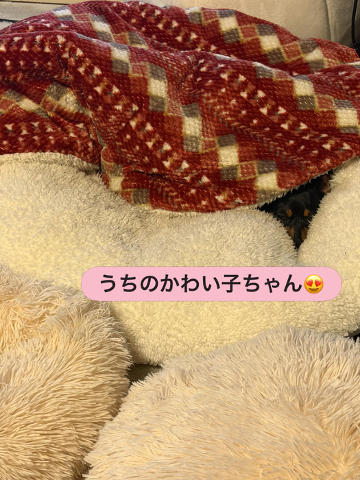 画像2142