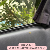 画像2193