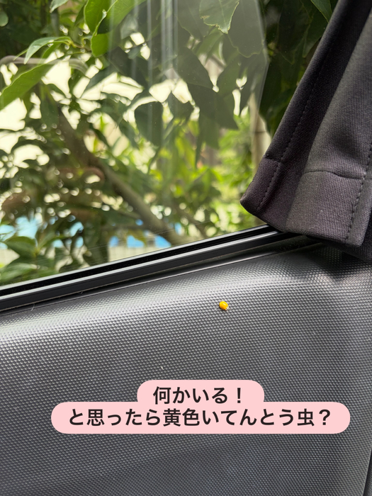 画像2193