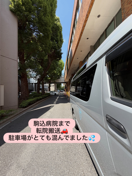 画像2199