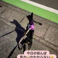 画像2205