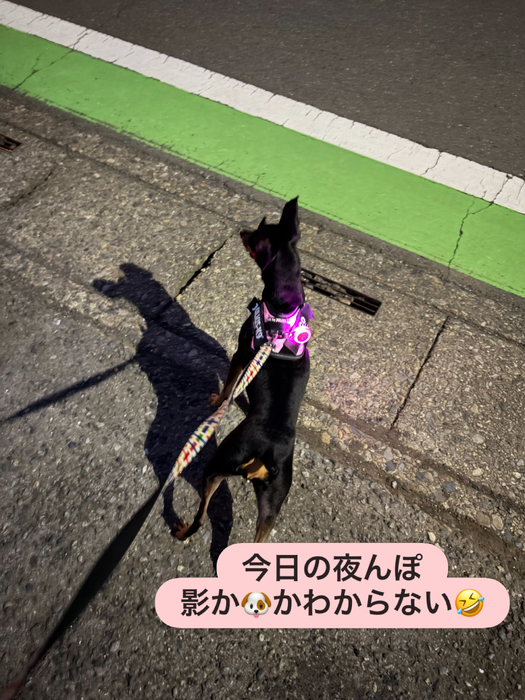 画像2205