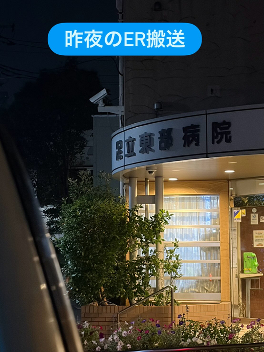 画像2218