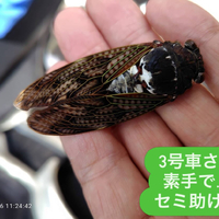 画像2273