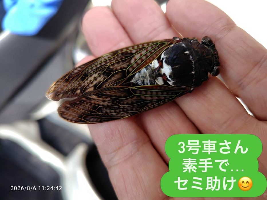 画像2273