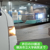 画像2303