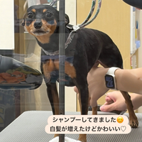 画像2322