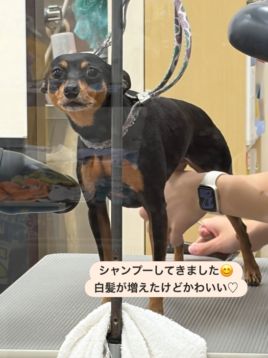 画像2322