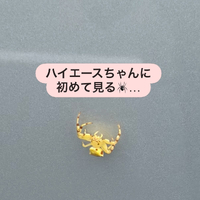 画像2337
