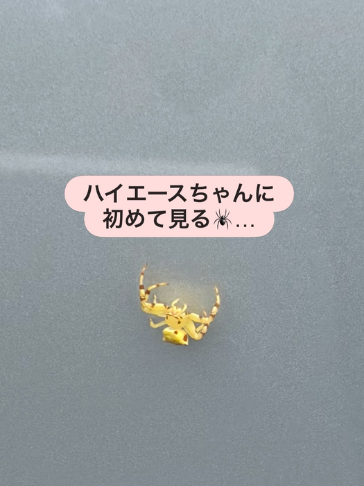 画像2337