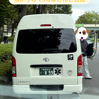 画像2344