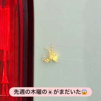 画像2347