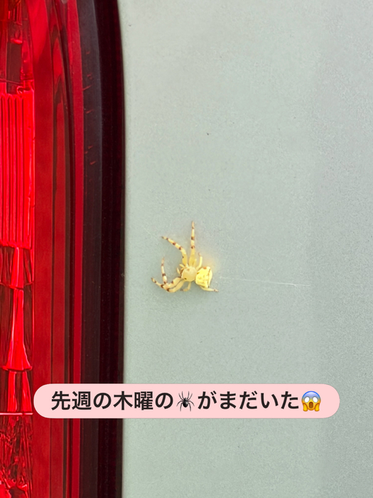 画像2347