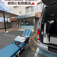 画像2391