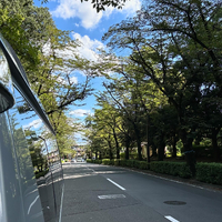 画像597