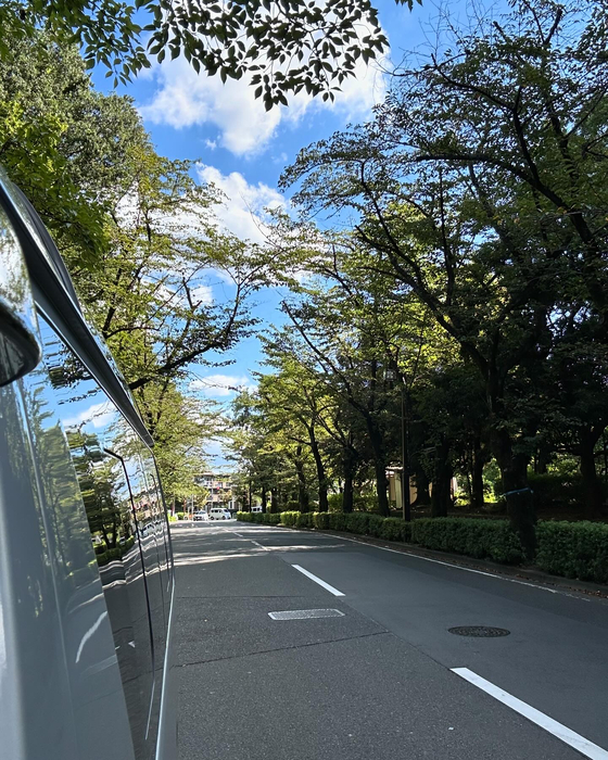 画像597