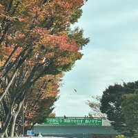 画像753