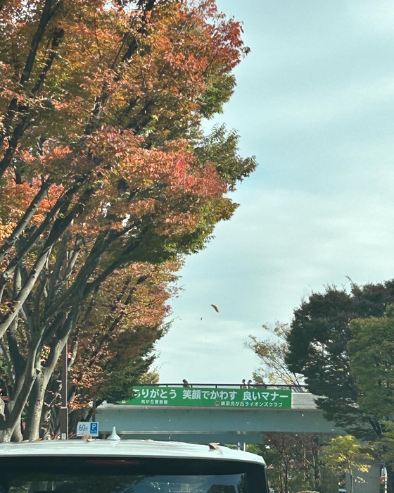 画像753