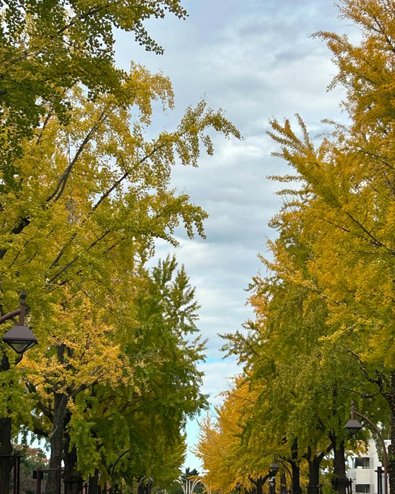 画像765