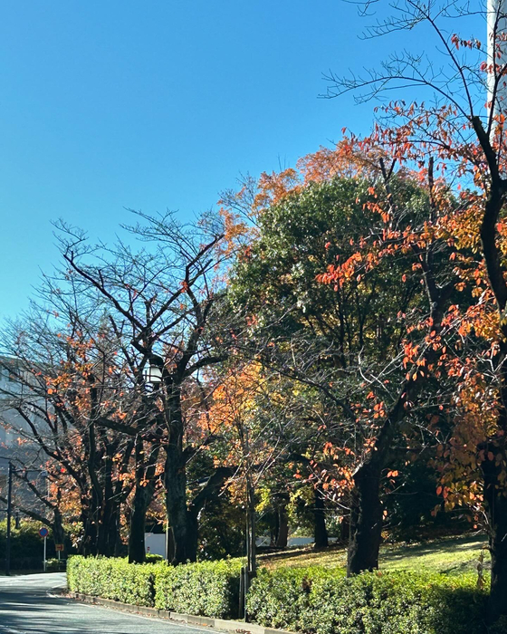 画像790