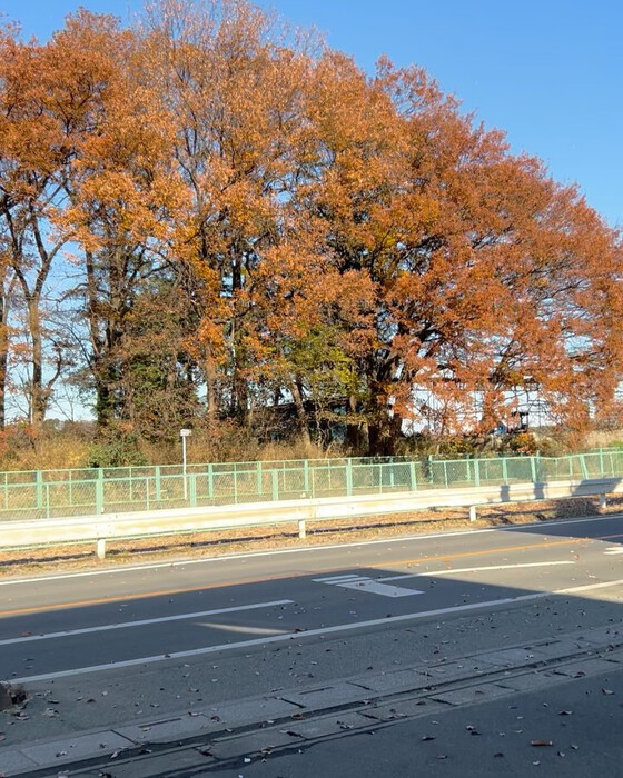 画像830